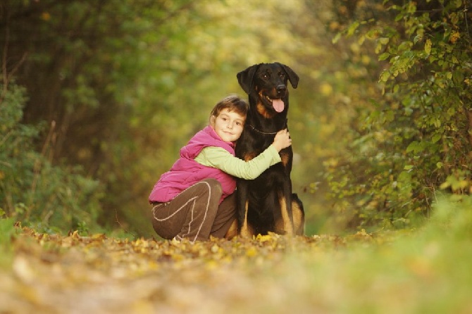 blackgorge - 23.10.2014 European dog Show 2014