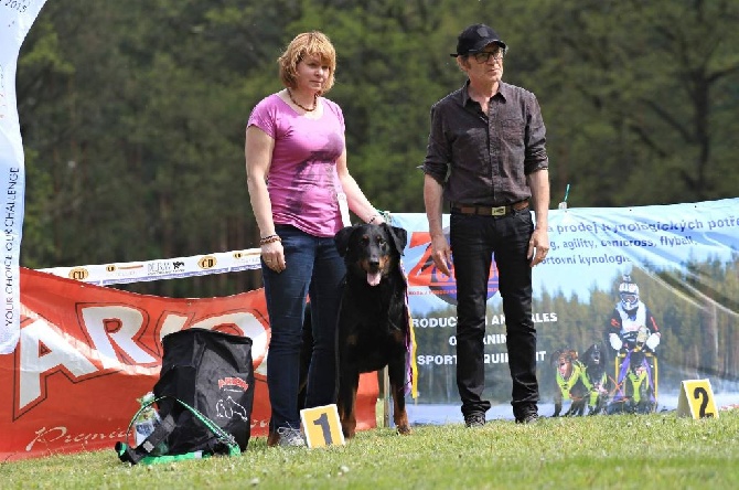 blackgorge - 7.5.2016 Résultats de la Nationale d´Elevage en Tchequie.