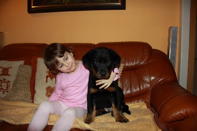 blackgorge - Nouveau photo chiots