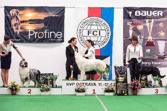 blackgorge - Resultatas National Expositions Ostrava