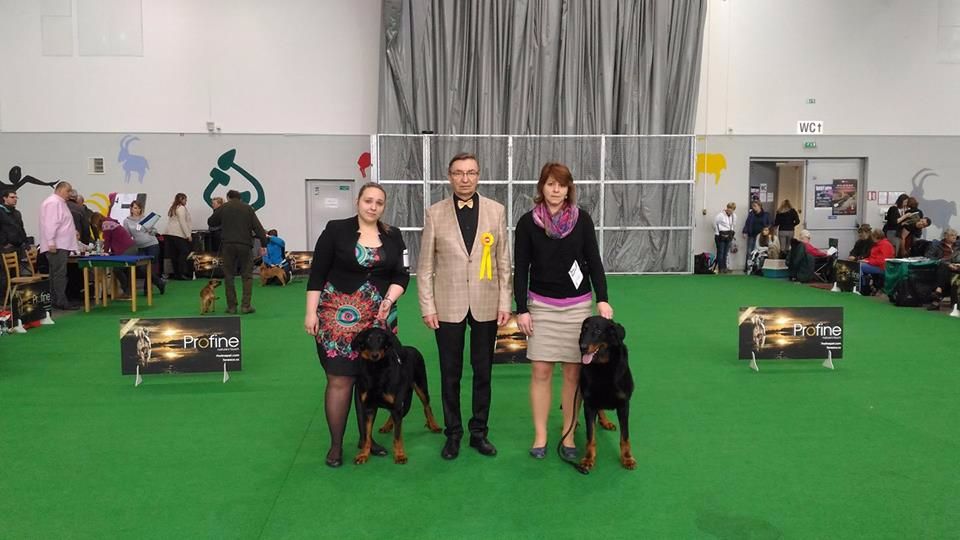 blackgorge - 22.4.2017 Internationale expositions Ceske Budejovice